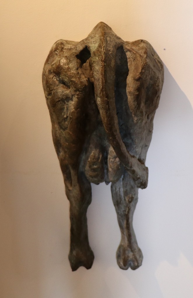 B Dijkstra IMG 6751B S