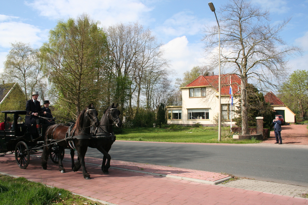 IMG 7795