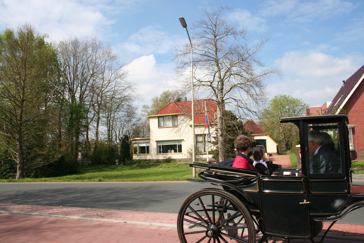IMG 7796