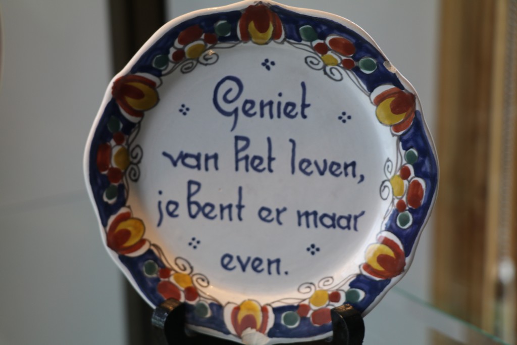 IMG 5273 1024x683