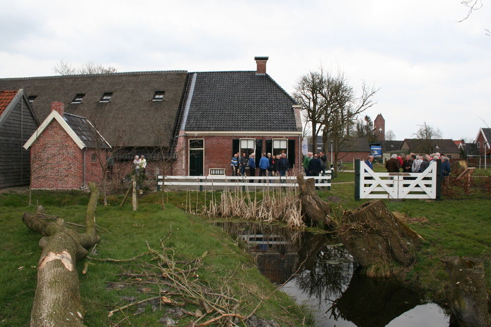 IMG 3075