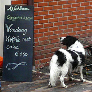 Koffie 300