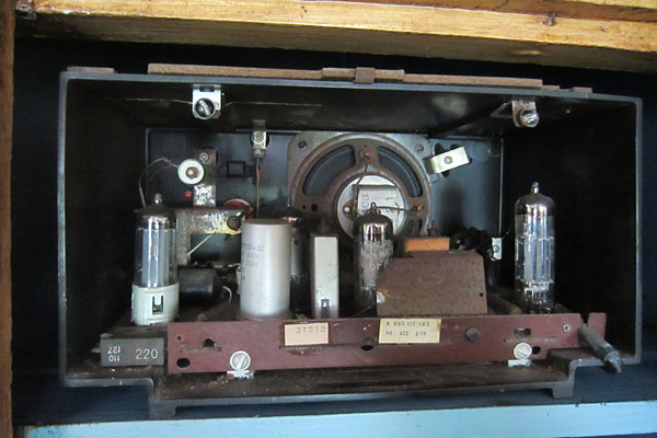 IMG 0416 600